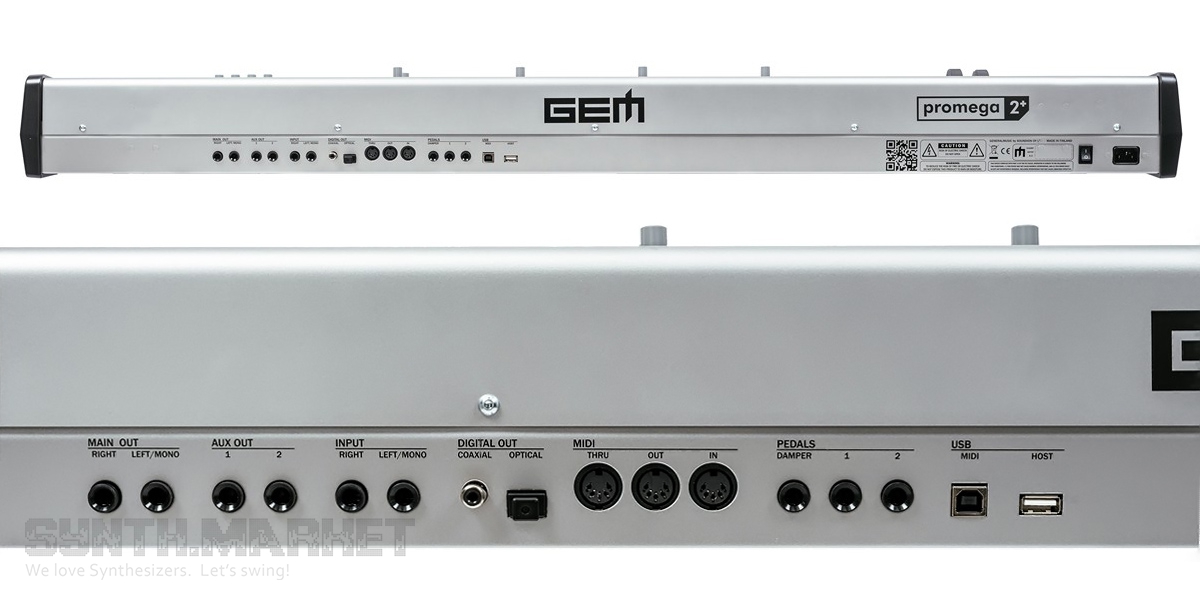 GEM Promega 2+ GEM Promega 2+
